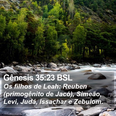Gênesis 35:23 BSL Bible Verse Image