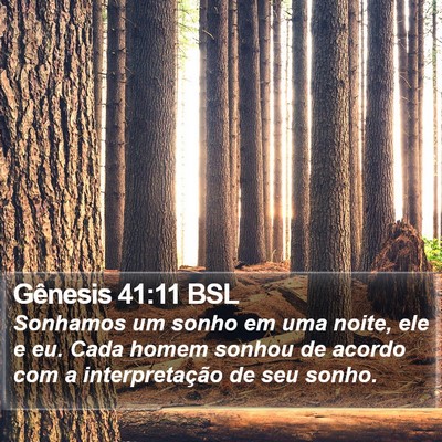 Gênesis 41:11 BSL Bible Verse Image