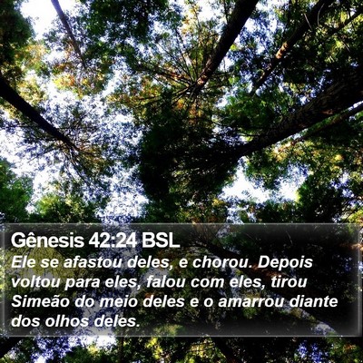 Gênesis 42:24 BSL Bible Verse Image