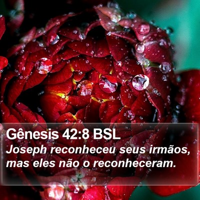 Gênesis 42:8 BSL Bible Verse Image