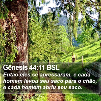 Gênesis 44:11 BSL Bible Verse Image