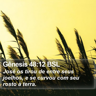 Gênesis 48:12 BSL Bible Verse Image