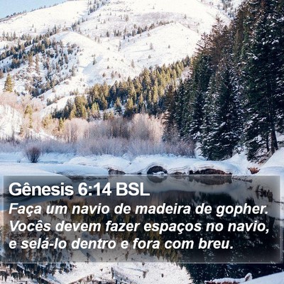 Gênesis 6:14 BSL Bible Verse Image