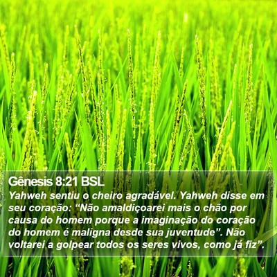 Gênesis 8:21 BSL Bible Verse Image