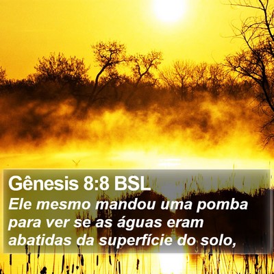 Gênesis 8:8 BSL Bible Verse Image