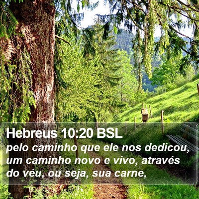 Hebreus 10:20 BSL Bible Verse Image