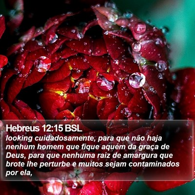 Hebreus 12:15 BSL Bible Verse Image