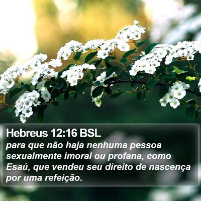 Hebreus 12:16 BSL Bible Verse Image