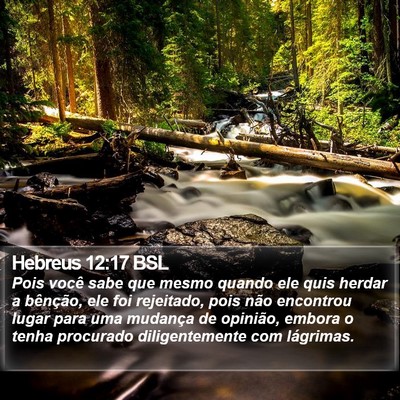 Hebreus 12:17 BSL Bible Verse Image