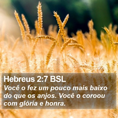 Hebreus 2:7 BSL Bible Verse Image