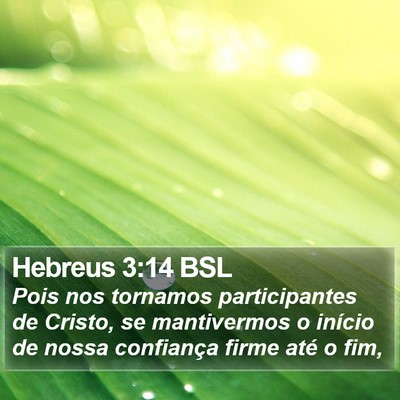 Hebreus 3:14 BSL Bible Verse Image