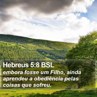 Hebreus 5:8 BSL Bible Verse Image