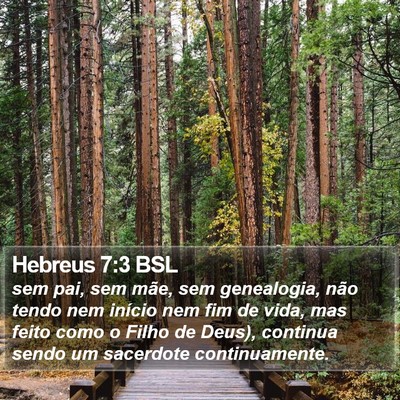 Hebreus 7:3 BSL Bible Verse Image