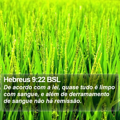 Hebreus 9:22 BSL Bible Verse Image