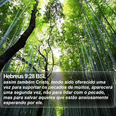 Hebreus 9:28 BSL Bible Verse Image