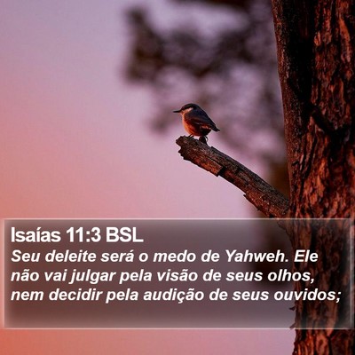 Isaías 11:3 BSL Bible Verse Image
