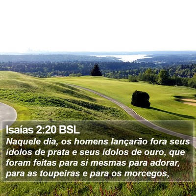 Isaías 2:20 BSL Bible Verse Image