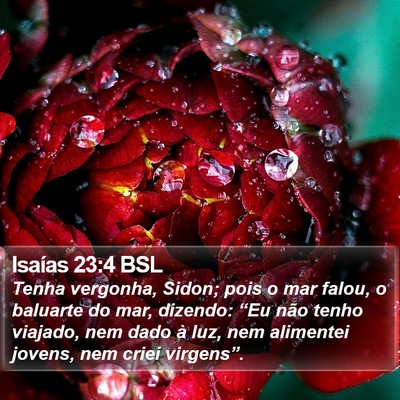 Isaías 23:4 BSL Bible Verse Image