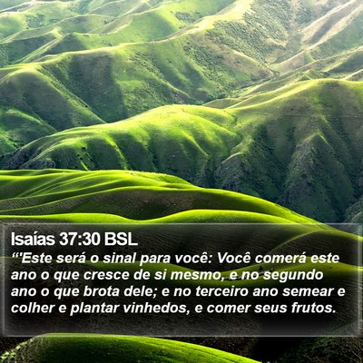 Isaías 37:30 BSL Bible Verse Image