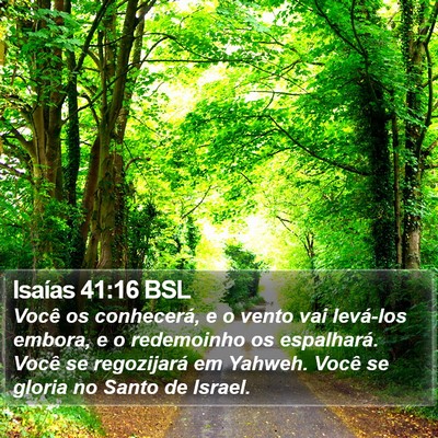 Isaías 41:16 BSL Bible Verse Image