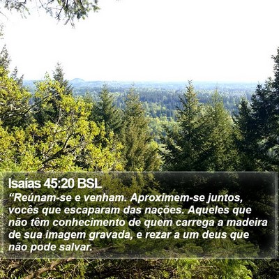 Isaías 45:20 BSL Bible Verse Image