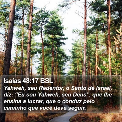 Isaías 48:17 BSL Bible Verse Image