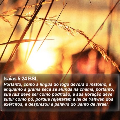 Isaías 5:24 BSL Bible Verse Image