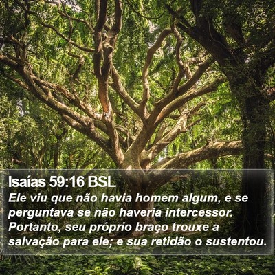 Isaías 59:16 BSL Bible Verse Image
