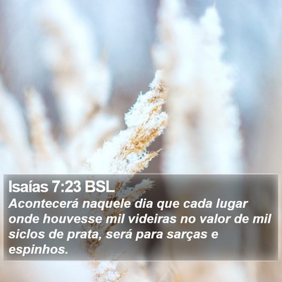 Isaías 7:23 BSL Bible Verse Image