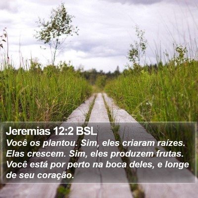 Jeremias 12:2 BSL Bible Verse Image