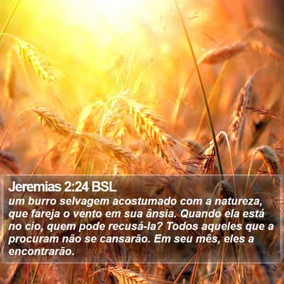 Jeremias 2:24 BSL Bible Verse Image