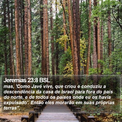 Jeremias 23:8 BSL Bible Verse Image