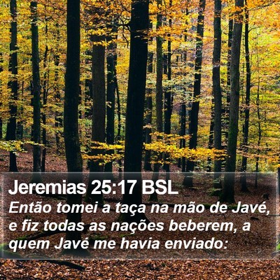 Jeremias 25:17 BSL Bible Verse Image