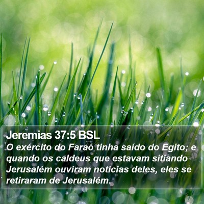 Jeremias 37:5 BSL Bible Verse Image