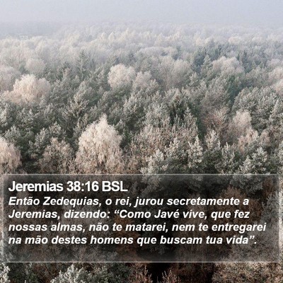 Jeremias 38:16 BSL Bible Verse Image