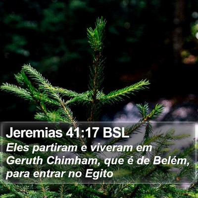 Jeremias 41:17 BSL Bible Verse Image