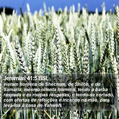 Jeremias 41:5 BSL Bible Verse Image