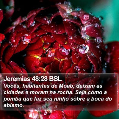 Jeremias 48:28 BSL Bible Verse Image