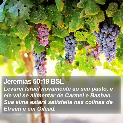 Jeremias 50:19 BSL Bible Verse Image