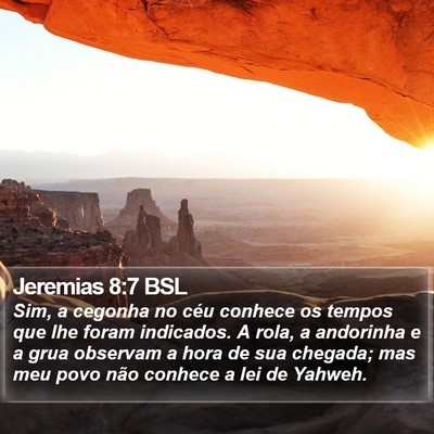 Jeremias 8:7 BSL Bible Verse Image
