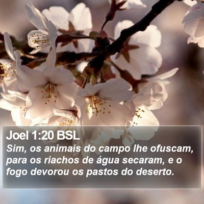 Joel 1:20 BSL Bible Verse Image