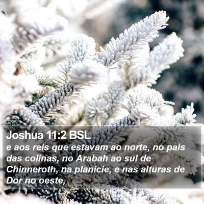 Joshua 11:2 BSL Bible Verse Image