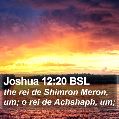 Joshua 12:20 BSL Bible Verse Image