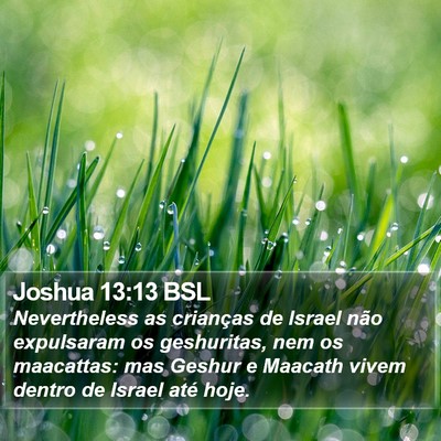 Joshua 13:13 BSL Bible Verse Image