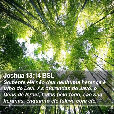 Joshua 13:14 BSL Bible Verse Image