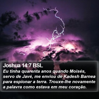 Joshua 14:7 BSL Bible Verse Image