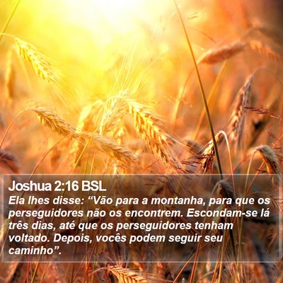 Joshua 2:16 BSL Bible Verse Image