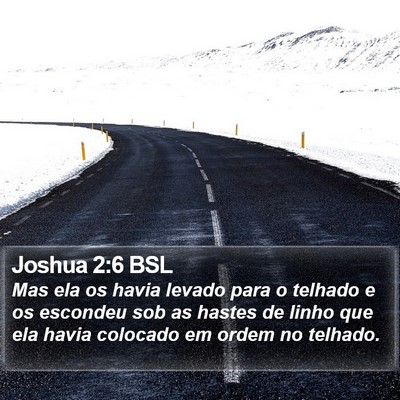 Joshua 2:6 BSL Bible Verse Image