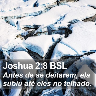 Joshua 2:8 BSL Bible Verse Image