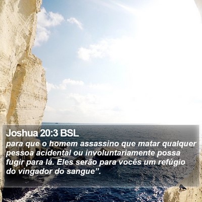Joshua 20:3 BSL Bible Verse Image